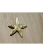 Pieza Estrella Mar con anilla 31mm diam. Oro Mate