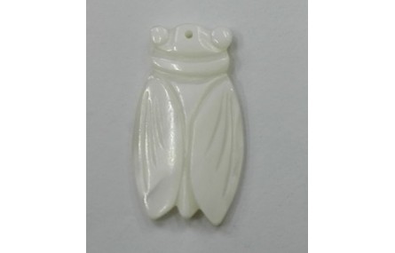 Escarabajo Nacar 30*22