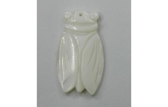 Escarabajo Nacar 30*22