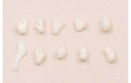 Ristra de 40cms de Chips Coral Blanco de 10-12mm