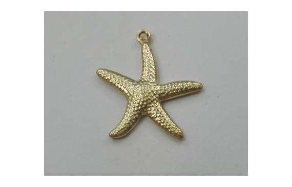 Colgante Estrella de Mar 20mm diametro Dorada