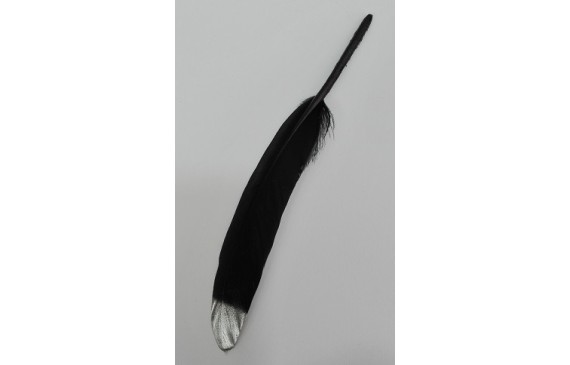 Pluma negra 130mm punta plata