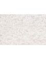 bolsa 8 grs Miyuki Delica OPAQUE CHALK WHITE DB200