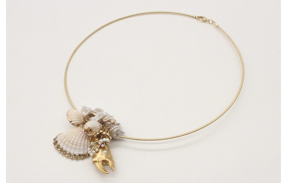 Collar rigido con conchas bordes dorado, burruño m