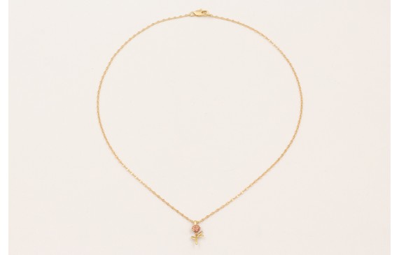 Solitario cadena micro ovalos dorada mate con colg