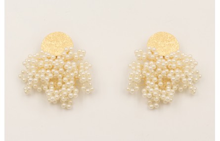 Pendientes perno semi disco satinado con ramas de 