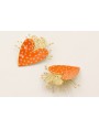 Pendientes corazón esmaltado naranja motas turques