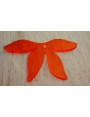 Metacrilato: Pétalos Naranja 75*45mm