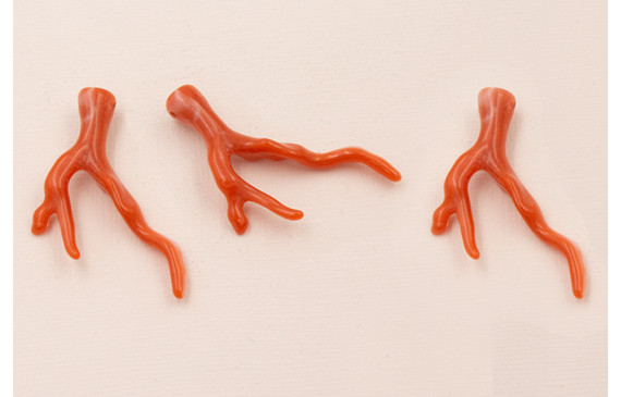 Rama Coral 50*35mm Veteado Rosa Coral