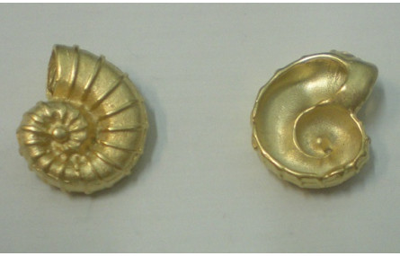 Pieza Caracola 19*16mm Oro Mate