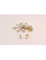Pieza caracola  pasante 15*9mm Oro Mate y Blanco