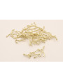 Cuenta Rama Coral 50*24mm Dorado Mate