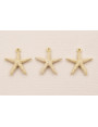 Colgante Estrella Mar 12mm diámetro Beige