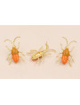 Insecto antenas 30*20 esmalte Marrón y Naranja