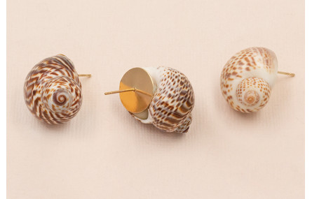 Pendiete Concha 30mm diametro