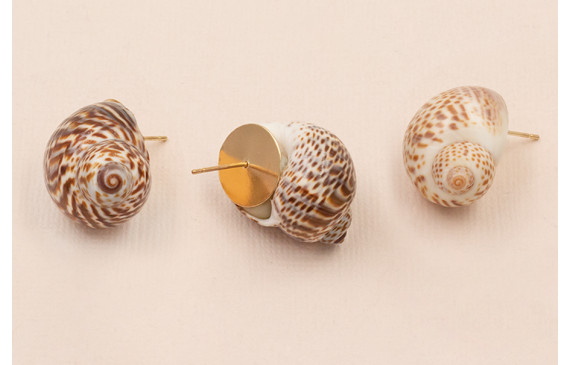 Pendiete Concha 30mm diametro