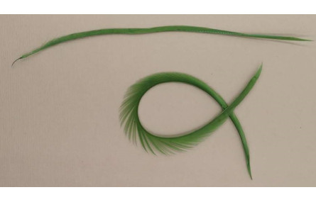 Pluma Rígida 170mm Longitud Verde