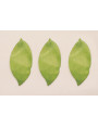 Hoja verde 40*20mm