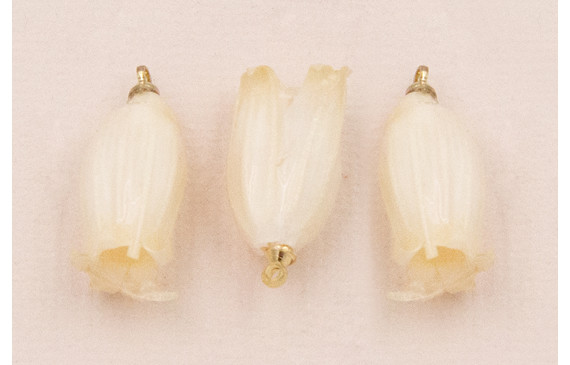 Flor Natural Campanilla con Resina 23*10 Crudo