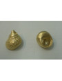 Colgante caracola 14*12mm Oro Mate