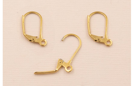 Pendiente Acero inox. 316L 15*10mm Oro