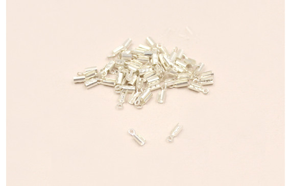 TERMINAL 2,2MM Plata Mate