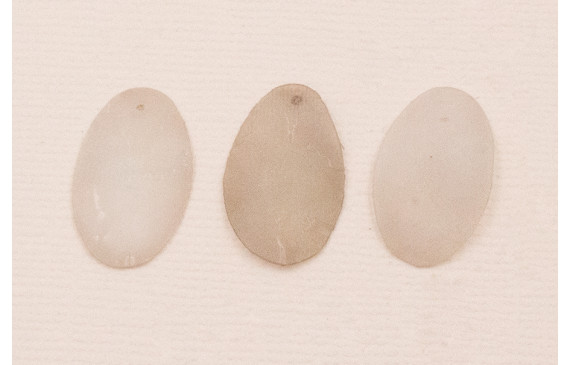 Ovalo 27*16mm Beige Mate rugoso