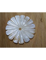 Disco Flor Nacar 38mm diametro
