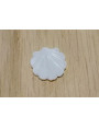 Concha plana Nacar 15*15mm