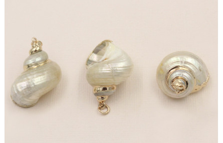 Concha bordes metal Dorado 25*25mm 