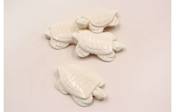 Tortuga Nacar 45*26mm