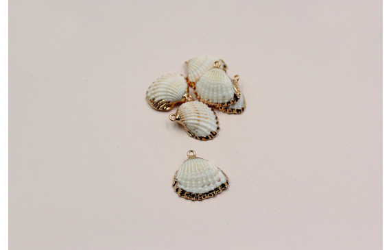 Concha borde dorado 18-24mm*15*18mm con anilla