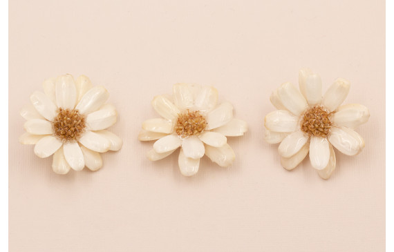 Flor Narutal con Resina: Doble Cara 50mm Beige