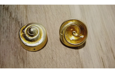 Caracola 20*15mm Oro Mate