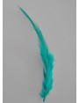 Pluma teñida Turquesa 100-130mm