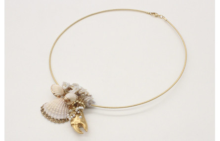 Collar rigido con conchas bordes dorado, burruño m