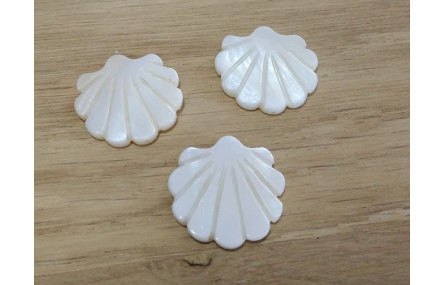 Concha plana Nacar 25*25mm