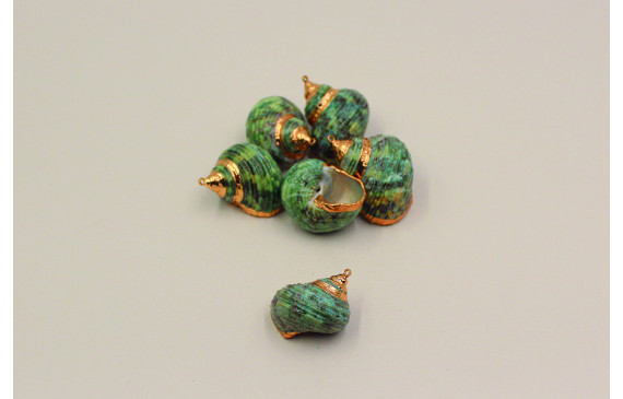 Caracola verdosa con bordes Oro 30*27mm