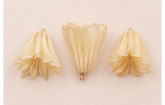 Flor Natural Campanilla con Resina 30*20 Beige