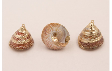 Caracola Piramidal  24*20mm bordes dorados