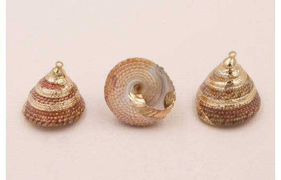 Caracola Piramidal  24*20mm bordes dorados