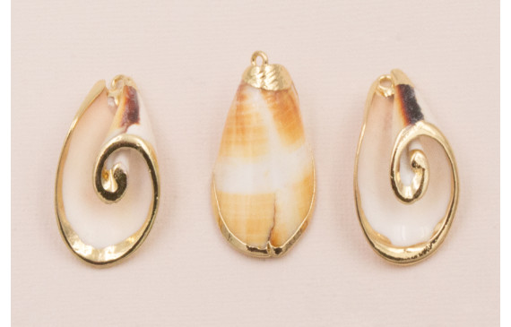 Caracola Blanca 36*23mm bordes dorados