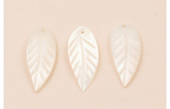 Pétalo curvado Nacar 26*10mm