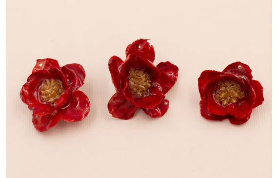 Flor Natural con Resina 30-35mm diam. Color Roja