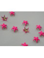 Tachuela estrella 10mm Fuxia fluor