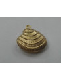 Colgante Almeja 18*15*6mm Dorada
