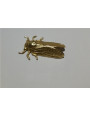 Cigarra 49*31mm oro mate