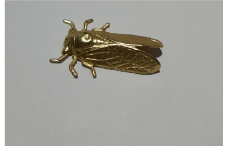 Cigarra 49*31mm oro mate