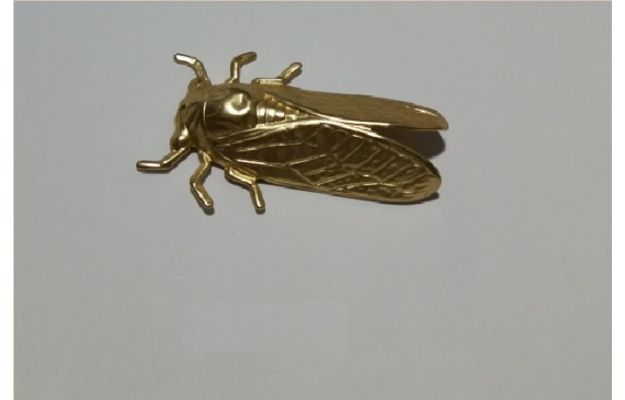 Cigarra 49*31mm oro mate