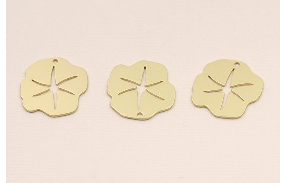 Chapa irregular 21mm estrella labrada